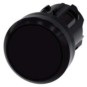 morepic-1