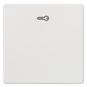 i-system Wippe tws m.Symbol Türöffner 5TG6208 