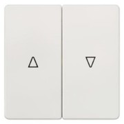 i-syst Wippe 2-fach tws mit Symbol Auf/Ab 5TG6214 