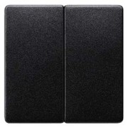 i-syst Wippe 2-fach neutral, carbon 5TG6225 