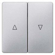 i-syst Wippe 2-fach carbon mit Symbol Auf/Ab 5TG6254 
