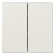 style Wippe 2-fach, neutral, tws 5TG7145 