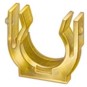 morepic-1