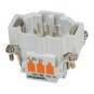 morepic-1