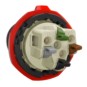 morepic-3