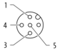 morepic-4