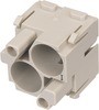 Modul Buchseneinsatz 09140023101 