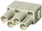 morepic-1