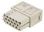 morepic-1