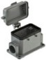 morepic-1