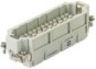 morepic-1