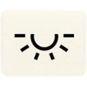 Symbol ws LICHT 33 L 