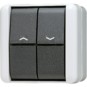 morepic-1