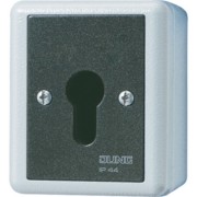 Schlüsselschalter Taster 1-pol. 833.18 G 