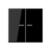 KNX RF Taster 2fach Thermoplast, Serie A 10921 ST BF SW 