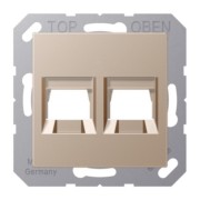Abdeckung 2-fach f.MJ WE TE-connect. A 1569-25 CH 