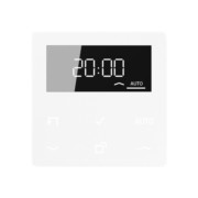Timer Standard, Display Echtglasfront A 1750 D WW 