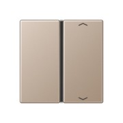 Taste 1-fach champ. mit Symbolen A 401 TSAP CH 