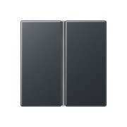 Tastensatz 2fach kompl anthrazit matt A 402 TSA ANM 