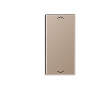 Taste 2-fach champ. mit Symbolen A 402 TSAP CH 