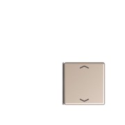 Taste 4-fach champ. mit Symbolen A 404 TSAP CH 14 