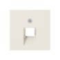morepic-1