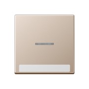 Wippe mit Schriftfeld 1fach champagner A 590 BF NA KO5 CH 