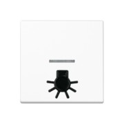 Wippe abt.Symbol LICHT aws für Kontrollschalter A 590 L1KO WW 