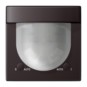 morepic-1