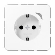 SCHUKO Steckdose 16 A 250V m. Berührungsschutz BT CD 1521 SE WW 