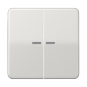 KNX RF Taster 2fach Duroplast, Serie CD 10921 ST LG 