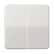 Steuertaste 2-fach Standard CD 1702 LG 