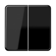 Steuertaste 2-fach Standard CD 1702 SW 