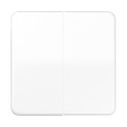 Steuertaste 2-fach Standard CD 1702 WW 