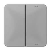 Taste 1-fach gr Symbol Auf/Ab CD 401 TSAP 