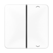 Taste 1-fach aws Symbol Auf/Ab CD 401 TSAP WW 