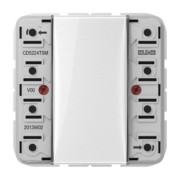 Tastsensor-Modul 2fach AC/DC24V 2-k. 4Sp. CD 5224 TSM 