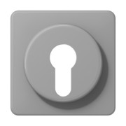 Abdeckung f.Schlüsselschalter CD 528 GR-KB 