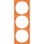 morepic-1