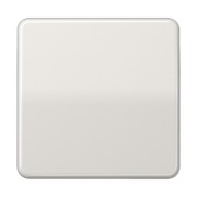 Wippe lgr für Schalter/Taster CD 590 BF LG 
