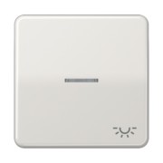 Wippe Sym.LICHT/Lichtl.lg für beleuchtb.Taster CD 590 KO5L LG 