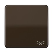 Wippe Symbol LICHT br für Taster CD 590 L 