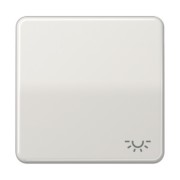 Wippe Symbol LICHT lgr für Taster CD 590 L LG 
