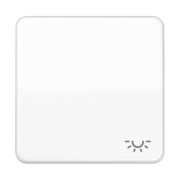 Wippe Symbol LICHT aws für Taster CD 590 L WW 
