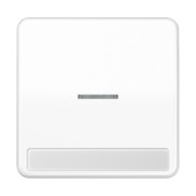 Wippe Licht./Schriftf.aws für Taster CD 590 NAKO5 WW 