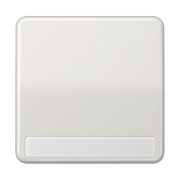 Wippe Schriftfeld lgr für Taster CD 590 NA LG 