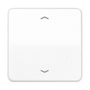 Wippe Symbole aws für Taster CD 590 P WW 