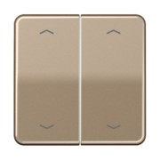 Wippe Symbole gold brz für Taster 2-fach CD 595 MP GB 