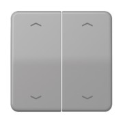 Wippe Symbole gr für Taster 2-fach CD 595 MP 