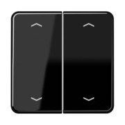 Wippe Symbole sw für Taster 2-fach CD 595 MP 